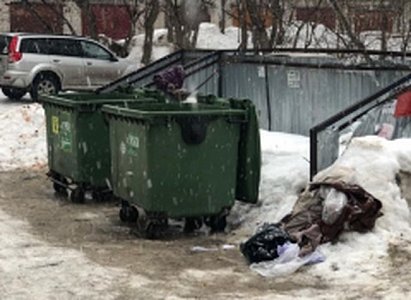 Рязанке, выбросившей ребенка в мусорный контейнер, дали два года условно