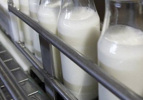 Рязанский молочный завод вновь не прошел проверку