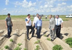 В Спасском районе построят овощной склад на 60 тысяч тонн