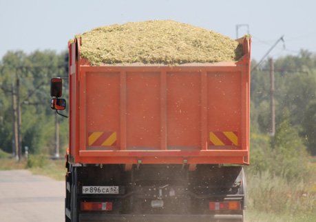 Украина займет долю России в поставках зерна в Европу