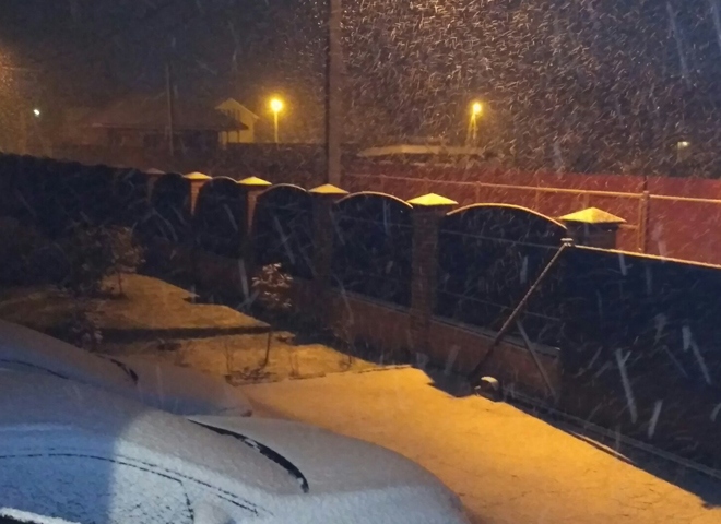 Рязанцы делятся снимками первого снега в соцсетях