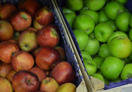 В Рязани на ярмарке выходного дня нашли санкционные яблоки