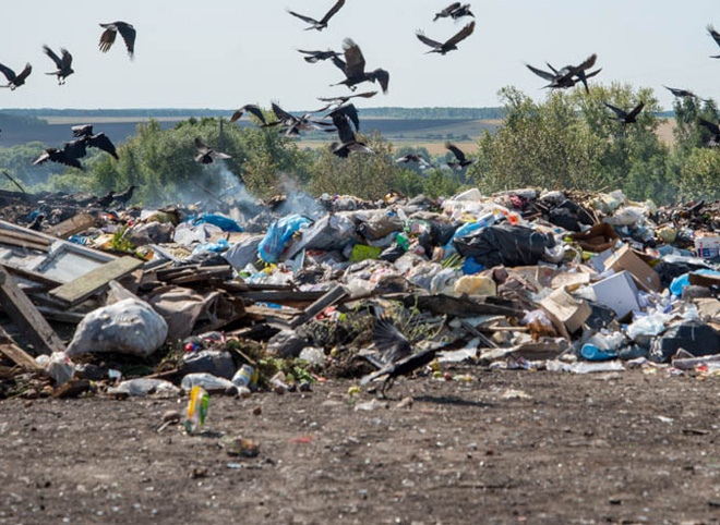 Москва определилась с регионами для вывоза своего мусора