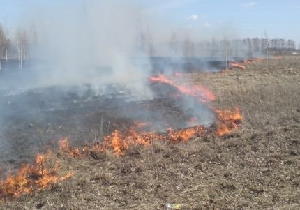 В Рязанской области введен противопожарный режим