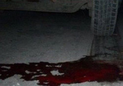 Соцсети: на окраине Рязани насмерть сбили девушку