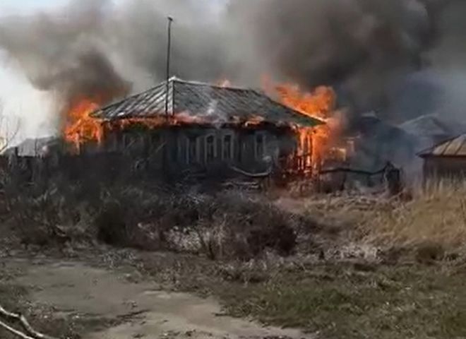 В МЧС рассказали о крупном пожаре в Сасовском районе