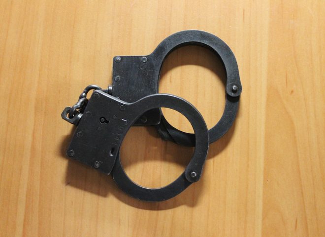 В Рязани поймали 22-летнего угонщика