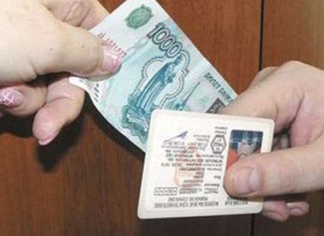 В Рязани осудили ульяновца, купившего водительские права в интернете