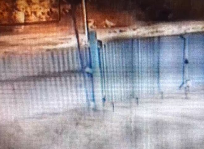 Момент ДТП в Сапожке, в котором погиб 27-летний мужчина, попал на видео