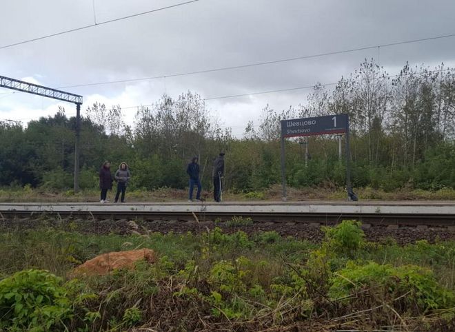 В Рязанском районе поезд насмерть сбил мужчину