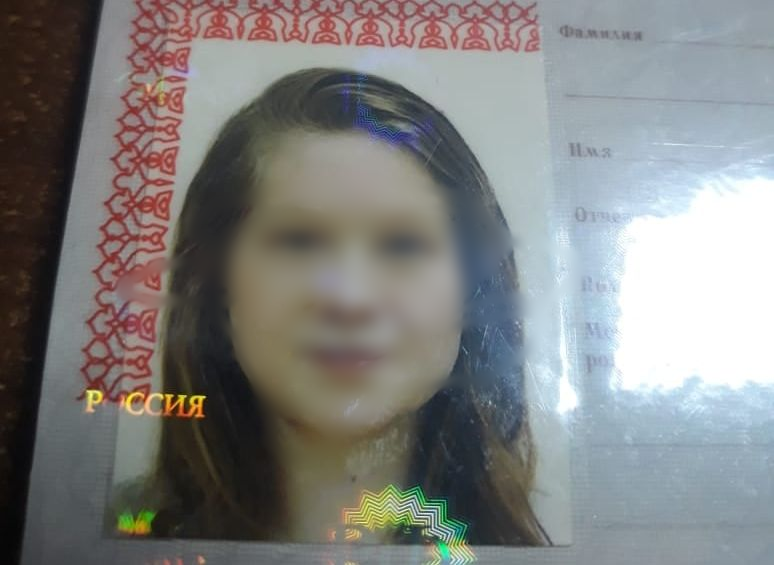 Пропавшая в Пронском районе девочка найдена