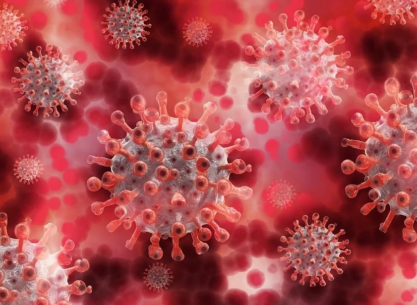 У рязанцев стали в два раза чаще выявлять антитела к коронавирусу