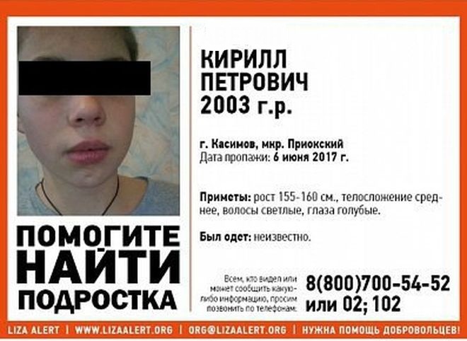 Пропавшего в Касимовском районе мальчика убили
