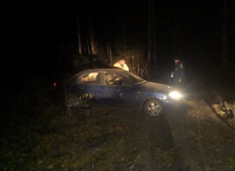 Рязанские пожарные спасли заблудившегося в лесу водителя