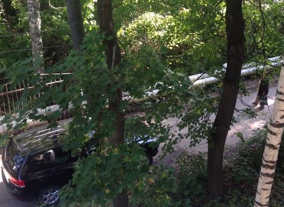 В Рязани водитель напал на «неуступчивую» пенсионерку (видео)