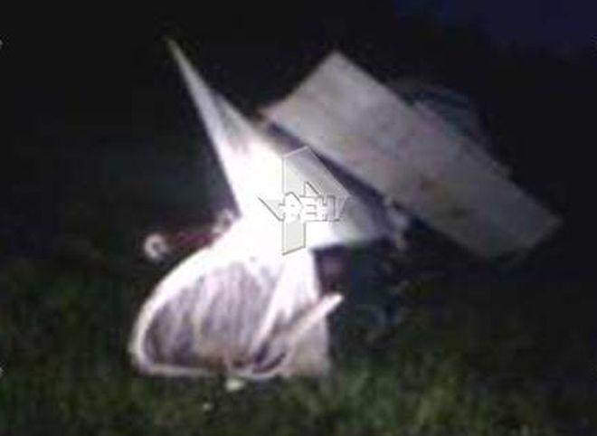 Опубликовано видео с места крушения самолета «Бекас» в Рязанской области