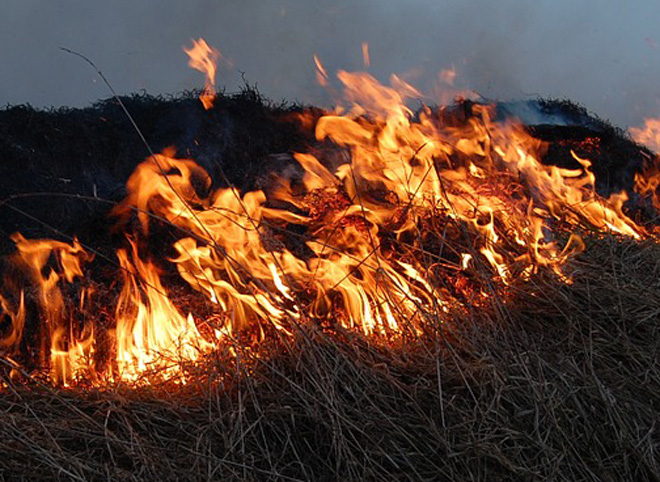 СМИ: в Рязанской области пожар охватил 20 гектаров из-за военных учений