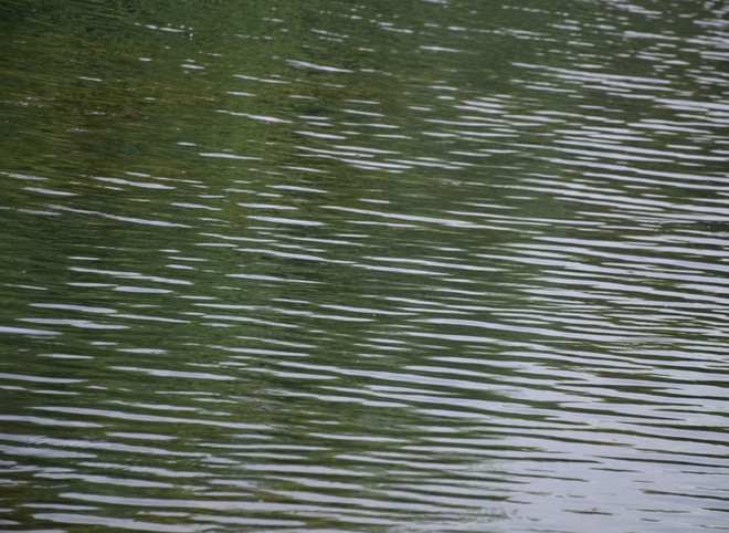 В речке Плетенке в черте Рязани утонул восьмилетний мальчик