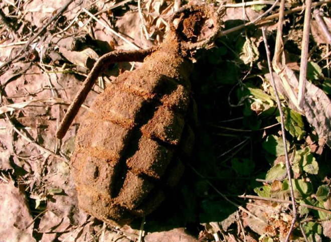В Рязанском районе обнаружили две гранаты