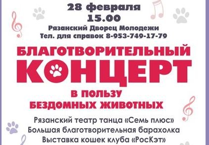В Рязани пройдет концерт в поддержку бездомных животных