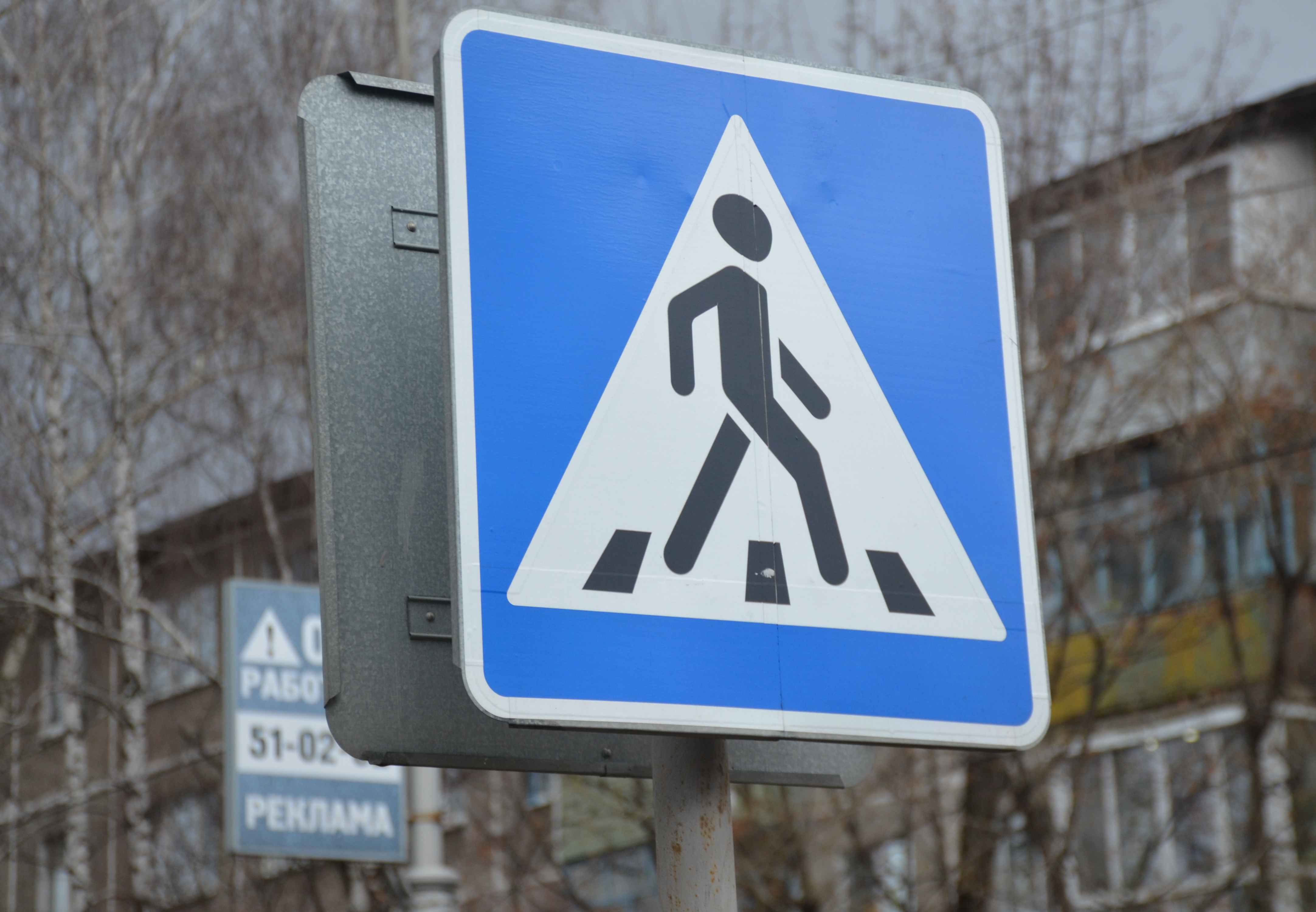 В Рязанской области насмерть сбили пешехода
