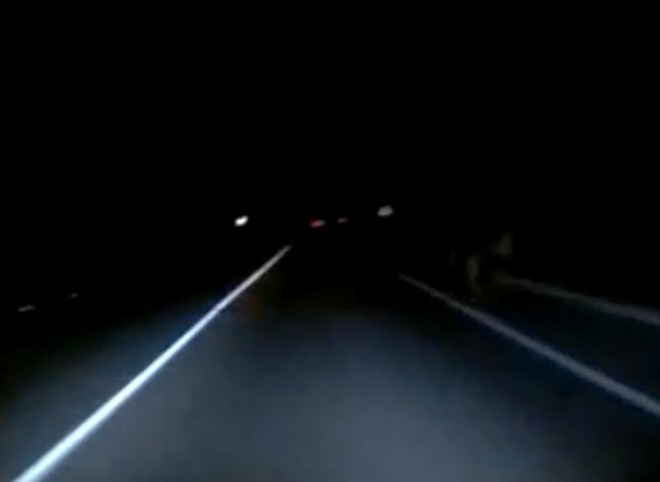 Рязанский водитель чудом увернулся от лося на ночной дороге (видео)