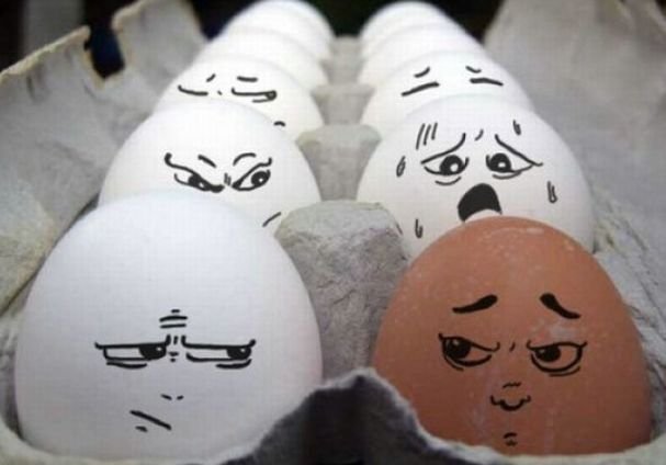 Прокуратура заинтересовалась яйцами в спасском «Дикси»