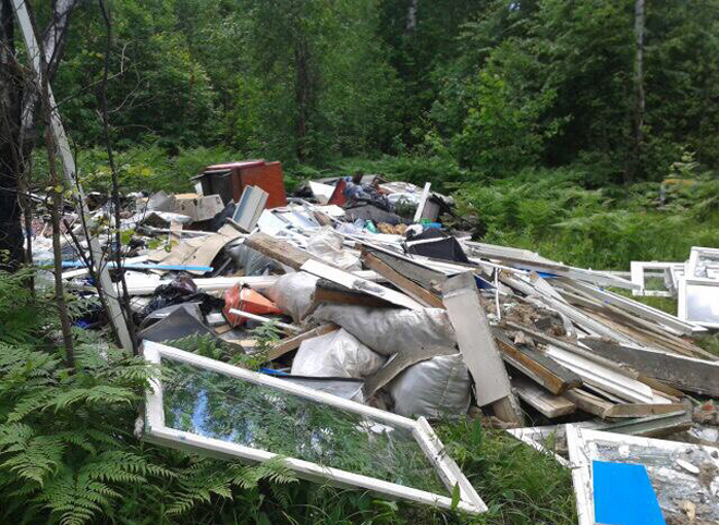 В Касимовском районе в лесу обнаружили несанкционированную свалку мусора