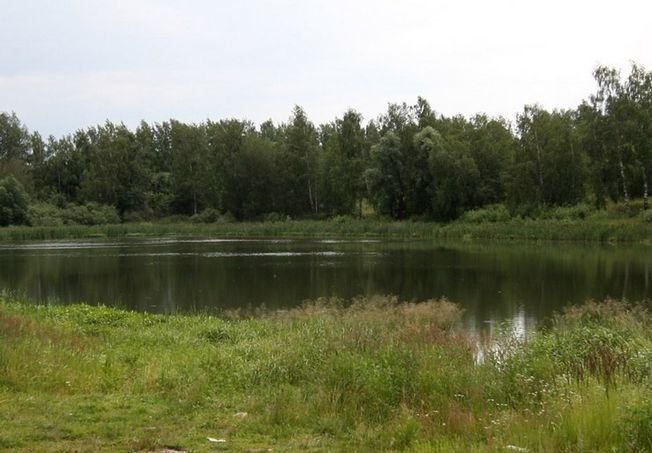 Опубликованы подробности трагедии на озере под Рязанью