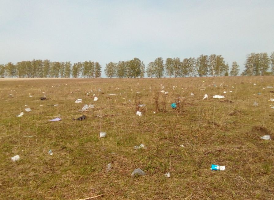 Фото: в знаменитом рязанском селе пахотные земли превратили в помойку