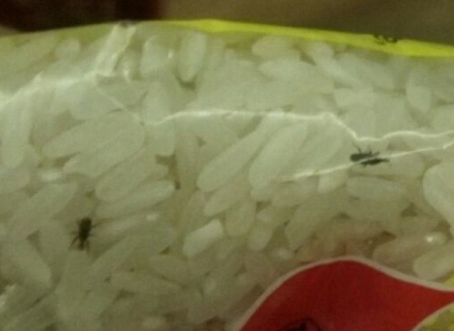 Рязанец купил в супермаркете рис с жуками (видео)