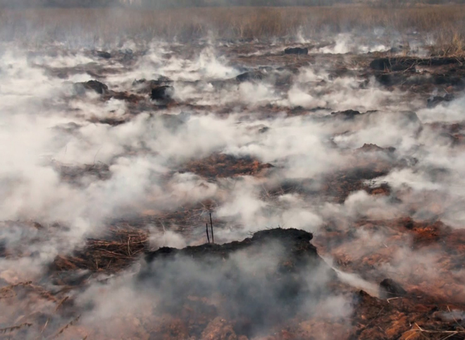 Торфяной пожар в Клепиковском районе до сих пор не потушен