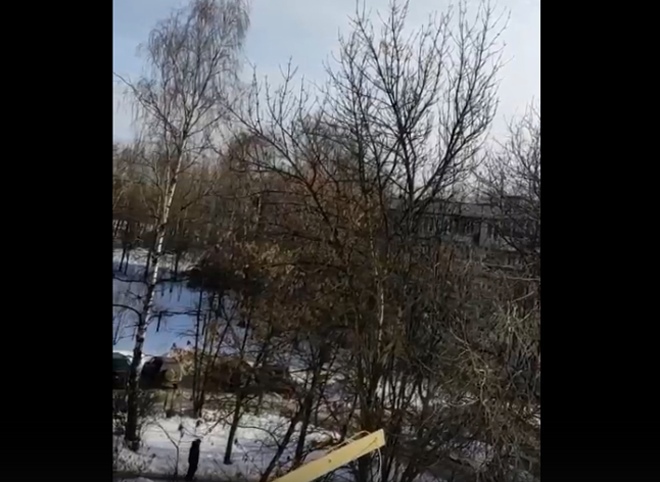 Рязанцы сообщили о выстрелах в парке в Дягилеве