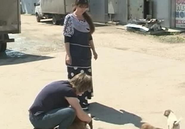 На 5-й базе сотрудники «Лайки» застрелили 40 собак