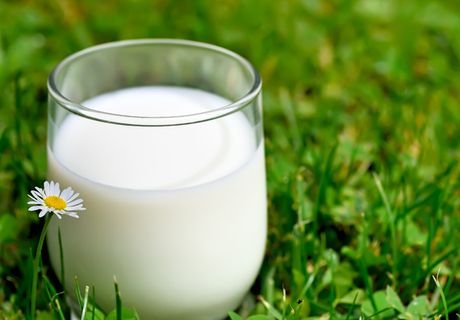 РФ может запретить поставки молока из Белоруссии