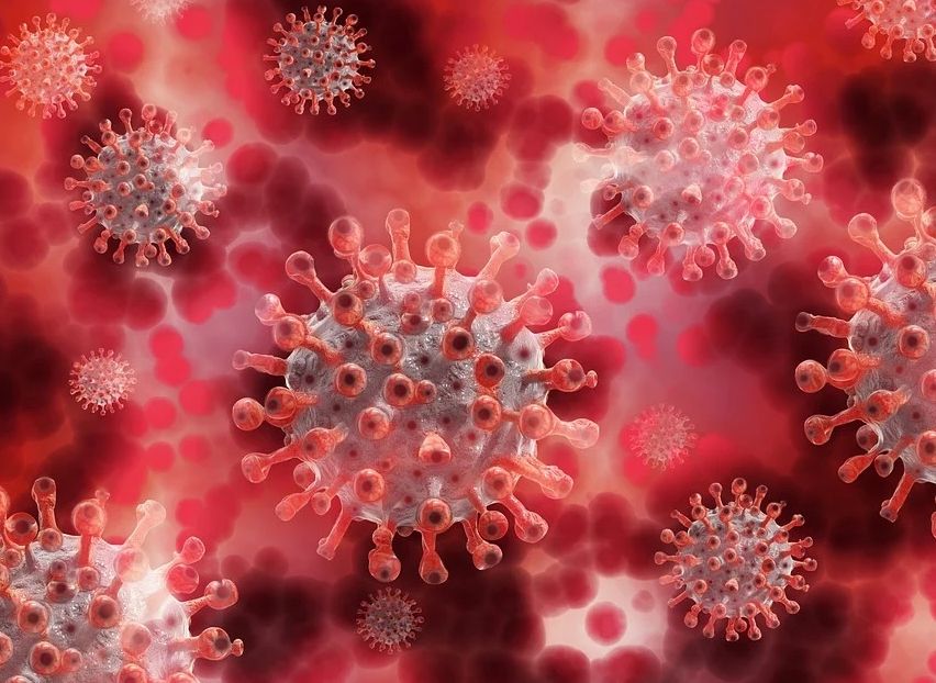С начала пандемии коронавирусом заразились более 4 тыс. рязанцев