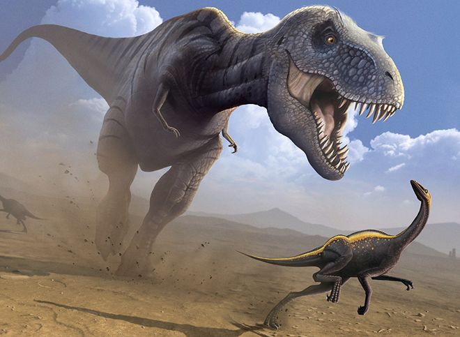 Палеонтологи впервые нашли окаменелое яйцо динозавра в Сибири