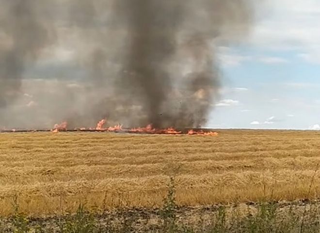 В Рязанской области сняли на видео «огненный смерч»