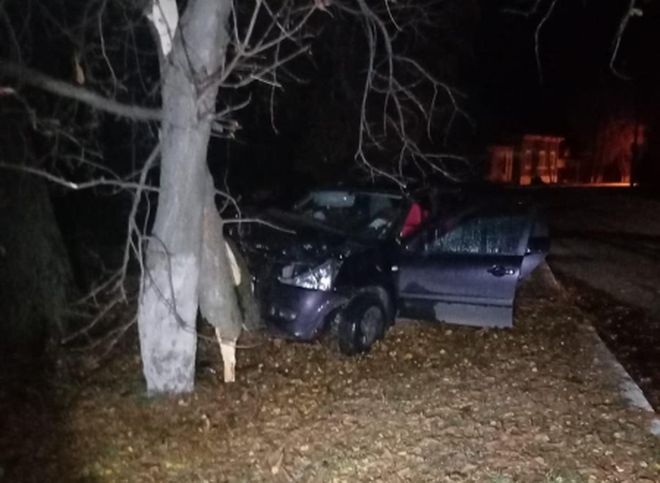 Водитель въехавшей в дерево легковушки в Пронске был пьян