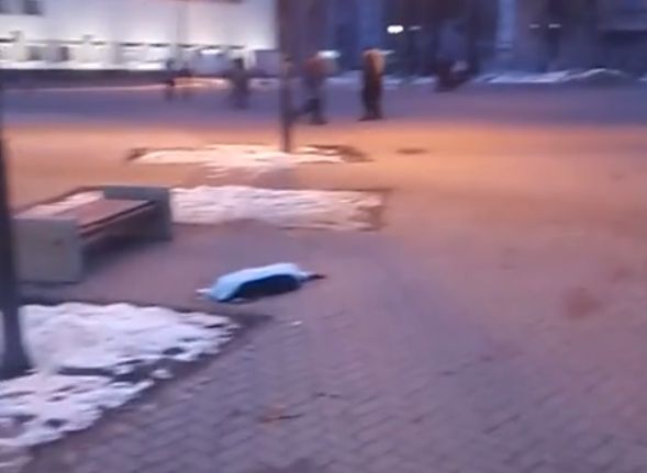 На центральной площади Рязани второй день лежит труп собаки (видео)