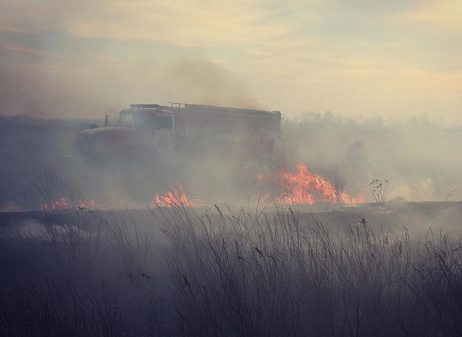 В Рязанской области за сутки ликвидировали 71 загорание травы