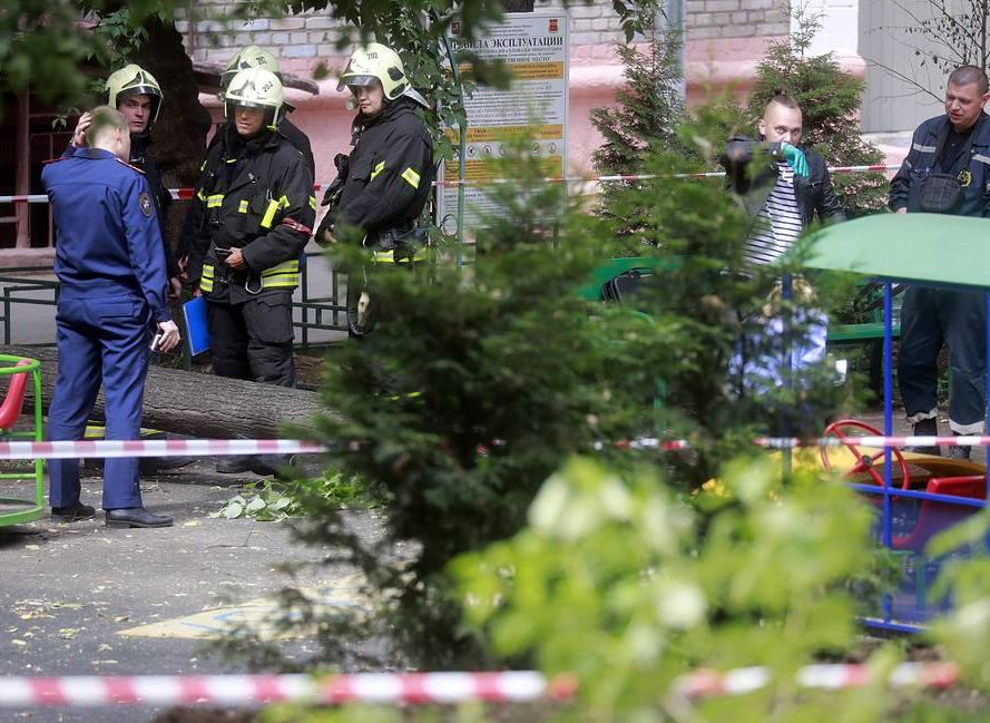 На детской площадке в Москве трехлетнего ребенка убило упавшим деревом