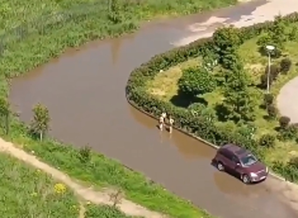 На окраине Рязани сняли на видео детей, купающихся в луже на дороге