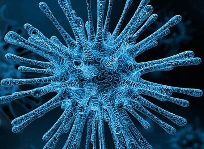 Стало известно о распространении в мире трех типов коронавируса