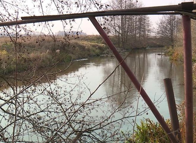 Рязанцы пожаловались на загрязнение реки Листвянки