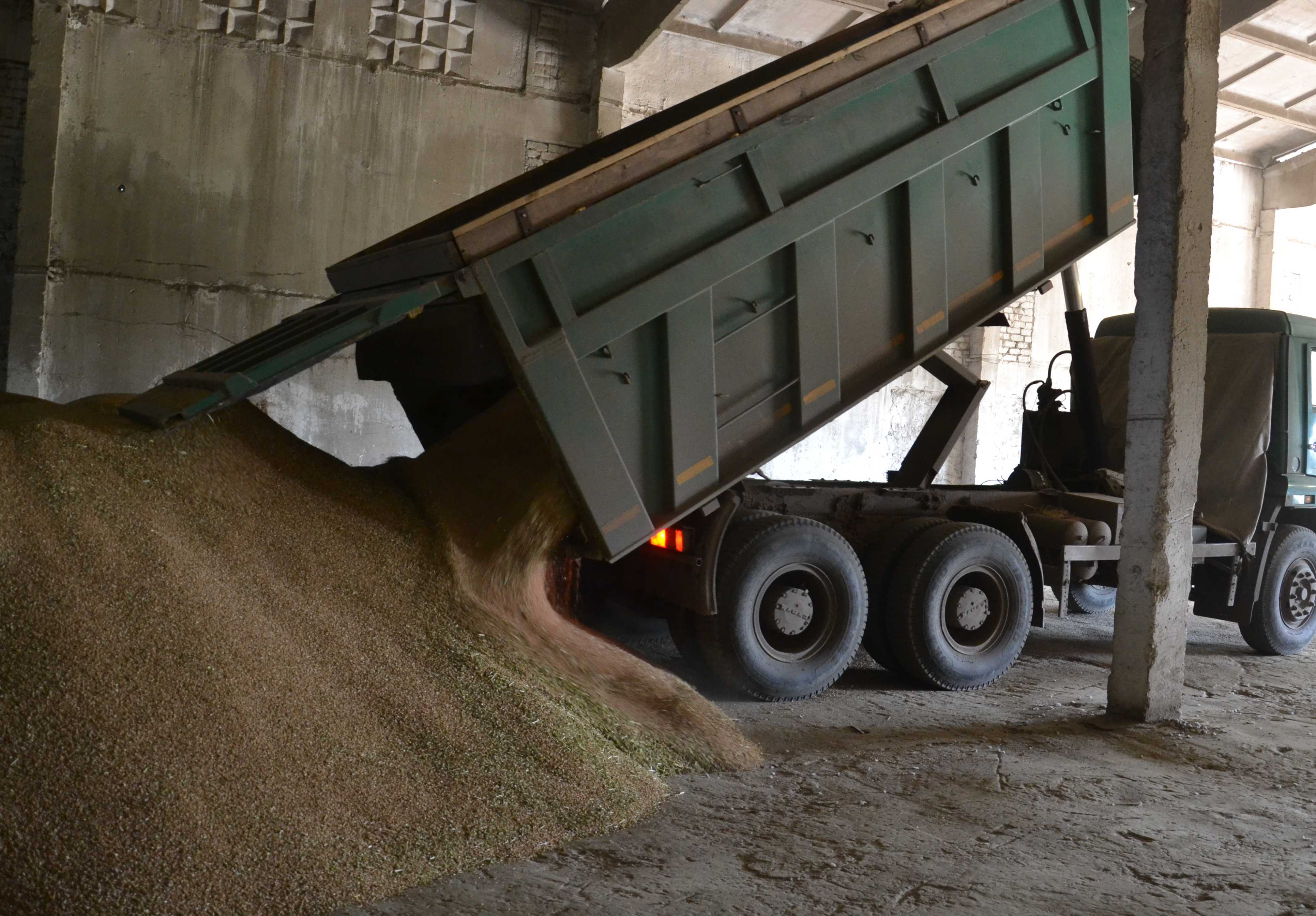 Рязанская область в 15 раз увеличила импорт зерна