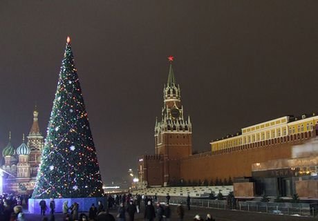 В Кремле установят 100-летнюю новогоднюю елку