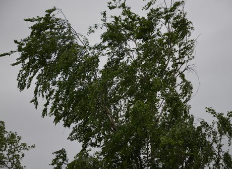 МЧС: погода в Рязанской области резко испортится