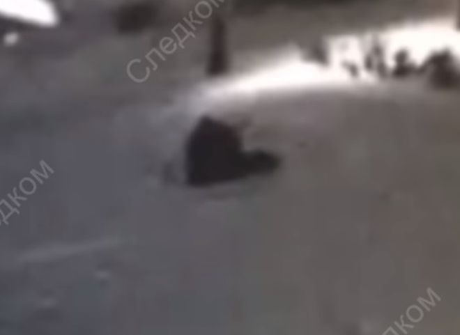 В Сибири школьница спаслась от насильника, напавшего на нее на улице (видео)