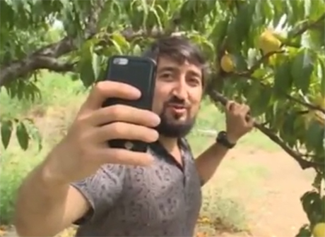 Фермер организовал продажу фруктов с помощью онлайн трансляций